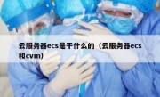 云服务器ecs是干什么的（云服务器ecs和cvm）