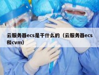 云服务器ecs是干什么的（云服务器ecs和cvm）