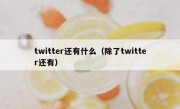 twitter还有什么（除了twitter还有）