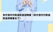 支付宝代付款退款退到哪里（支付宝代付款退款退到哪里去了）
