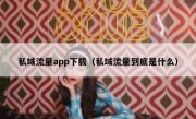 私域流量app下载（私域流量到底是什么）