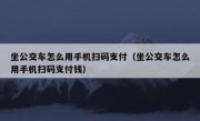 坐公交车怎么用手机扫码支付（坐公交车怎么用手机扫码支付钱）