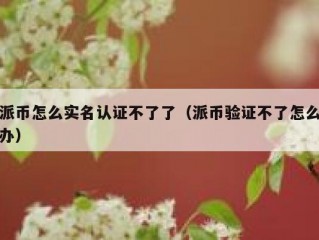 派币怎么实名认证不了了（派币验证不了怎么办）