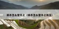 派币怎么登不上（派币怎么登不上微信）
