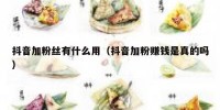 抖音加粉丝有什么用（抖音加粉赚钱是真的吗）