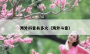 海外抖音有多火（海外斗音）
