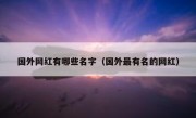 国外网红有哪些名字（国外最有名的网红）