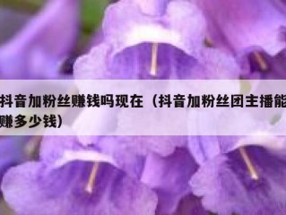抖音加粉丝赚钱吗现在（抖音加粉丝团主播能赚多少钱）