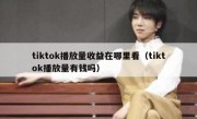 tiktok播放量收益在哪里看（tiktok播放量有钱吗）