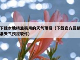 下载本地精准实用的天气预报（下载官方最精准天气预报软件）