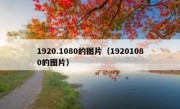 1920.1080的图片（19201080的图片）