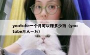 youtube一个月可以赚多少钱（youtube月入一万）