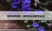 如何玩转推特（推特怎么玩就怎么玩）