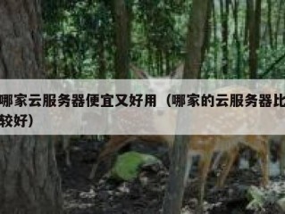 哪家云服务器便宜又好用（哪家的云服务器比较好）
