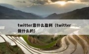 twitter靠什么盈利（twitter做什么的）