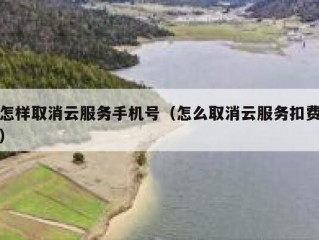 怎样取消云服务手机号（怎么取消云服务扣费）