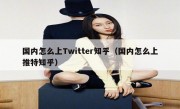 国内怎么上Twitter知乎（国内怎么上推特知乎）