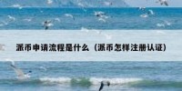 派币申请流程是什么（派币怎样注册认证）