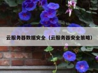 云服务器数据安全（云服务器安全策略）