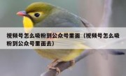视频号怎么吸粉到公众号里面（视频号怎么吸粉到公众号里面去）