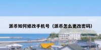 派币如何修改手机号（派币怎么更改密码）