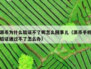 派币为什么验证不了呢怎么回事儿（派币手机验证通过不了怎么办）