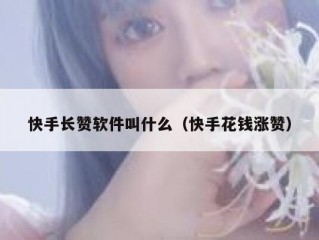 快手长赞软件叫什么（快手花钱涨赞）