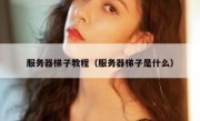服务器梯子教程（服务器梯子是什么）