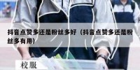 抖音点赞多还是粉丝多好（抖音点赞多还是粉丝多有用）
