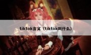 tiktok含义（tiktok叫什么）