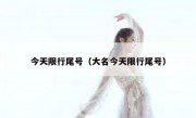 今天限行尾号（大名今天限行尾号）