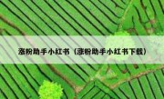 涨粉助手小红书（涨粉助手小红书下载）
