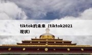 tiktok的未来（tiktok2021现状）
