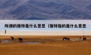 所谓的推特是什么意思（推特指的是什么意思）