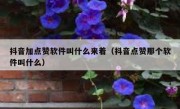 抖音加点赞软件叫什么来着（抖音点赞那个软件叫什么）