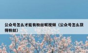 公众号怎么才能有粉丝呢视频（公众号怎么获得粉丝）