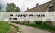 tiktok多少用户（tiktok多少用户数量）