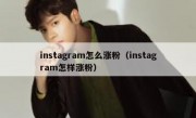 instagram怎么涨粉（instagram怎样涨粉）