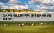 怎么添加抖音互赞群号码（抖音互赞粉丝群在哪里找到）