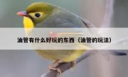 油管有什么好玩的东西（油管的玩法）