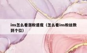 ins怎么看涨粉速度（怎么看ins粉丝数到个位）