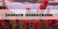 怎样加粉丝灯牌（如何加粉丝灯牌流程图）