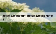 推特怎么做流量推广（推特怎么做流量推广的）