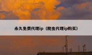 永久免费代理ip（爬虫代理ip购买）