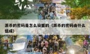 派币的密码是怎么设置的（派币的密码由什么组成）