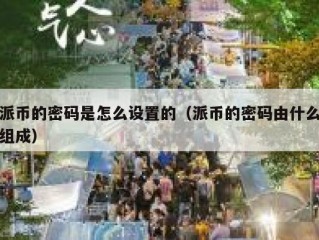 派币的密码是怎么设置的（派币的密码由什么组成）