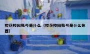 樱花校园账号是什么（樱花校园账号是什么东西）