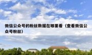 微信公众号的粉丝数据在哪里看（查看微信公众号粉丝）