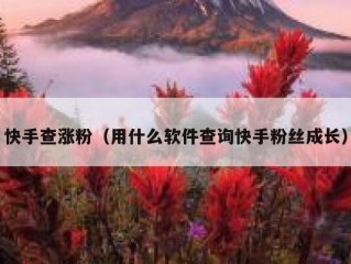 快手查涨粉（用什么软件查询快手粉丝成长）