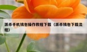 派币手机钱包操作教程下载（派币钱包下载流程）